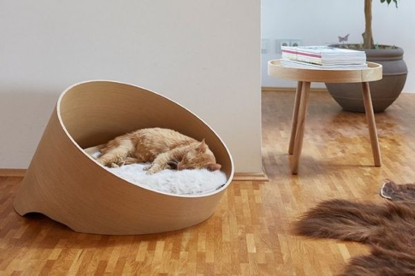 Разработаны инновационные кровати для кошек